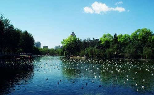 昆明石林、玉龙雪山、大理古城双飞六日游 - 1 天行程实拍