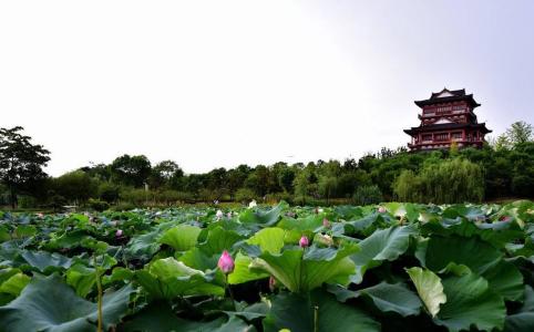 黄冈浠水金边溪纯玩大巴二日游 - 1 天行程实拍