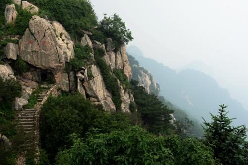 山东 河北 江苏 泰山 曲阜 台儿庄 趵突泉 微山湖 火车 7日游